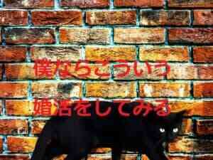 レンガの壁と黒猫
